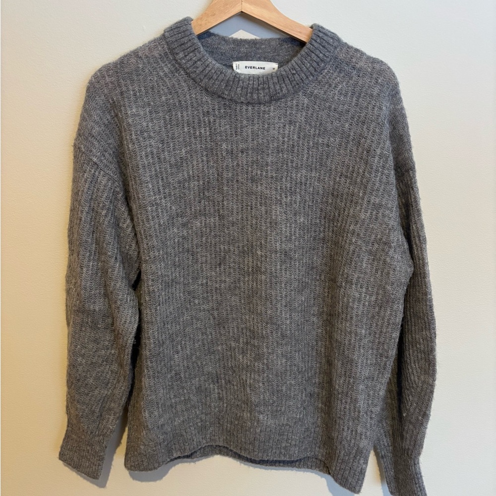 Everlane the Cocoon Crew in Alpaca